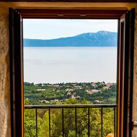 Kontesa Villa